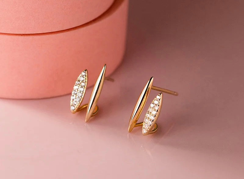 Double hoop earrings