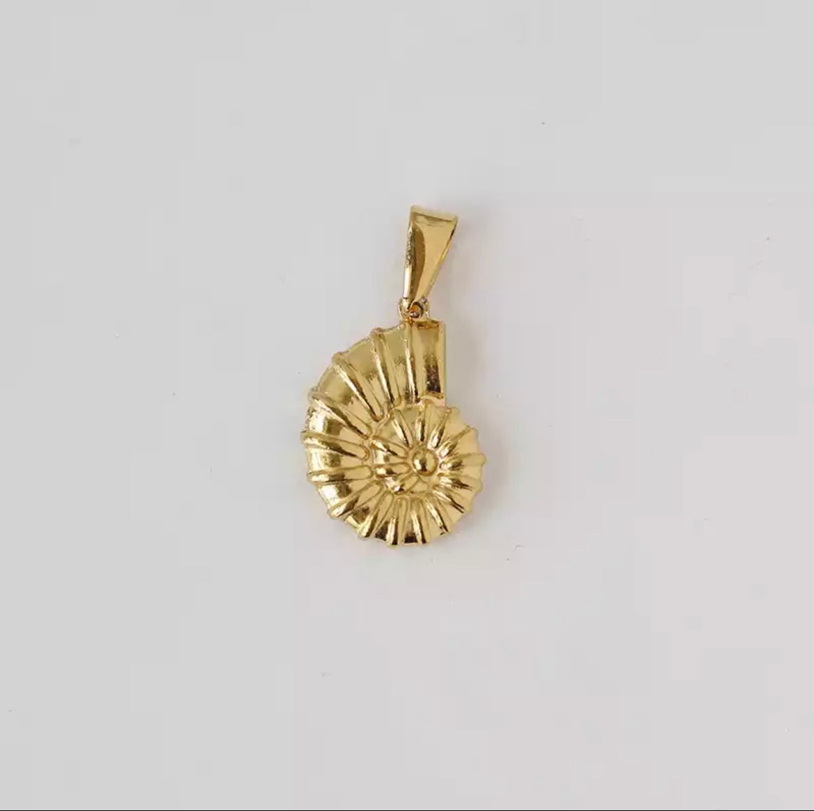 Fossil necklace